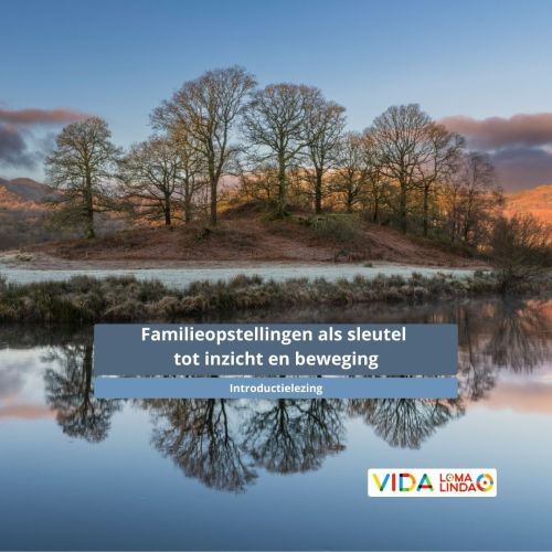 Familieopstellingen als sleutel tot inzicht en beweging Familieopstellingen als sleutel tot inzicht en beweging