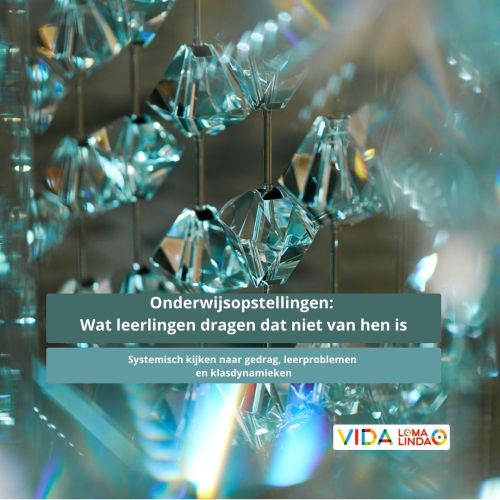 Onderwijsopstellingen: Wat leerlingen dragen dat niet van hen is Onderwijsopstellingen: Wat leerlingen dragen dat niet van hen is