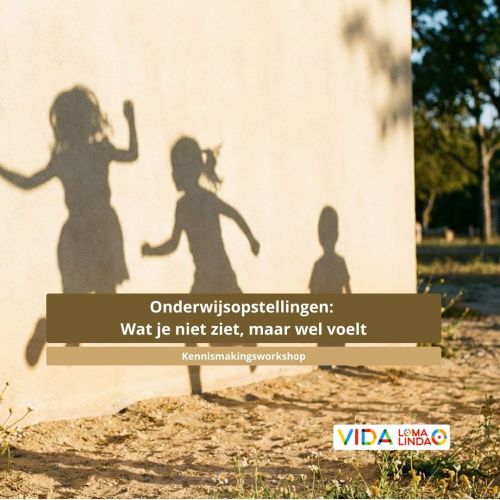 Onderwijsopstellingen: Wat je niet ziet, maar wel voelt